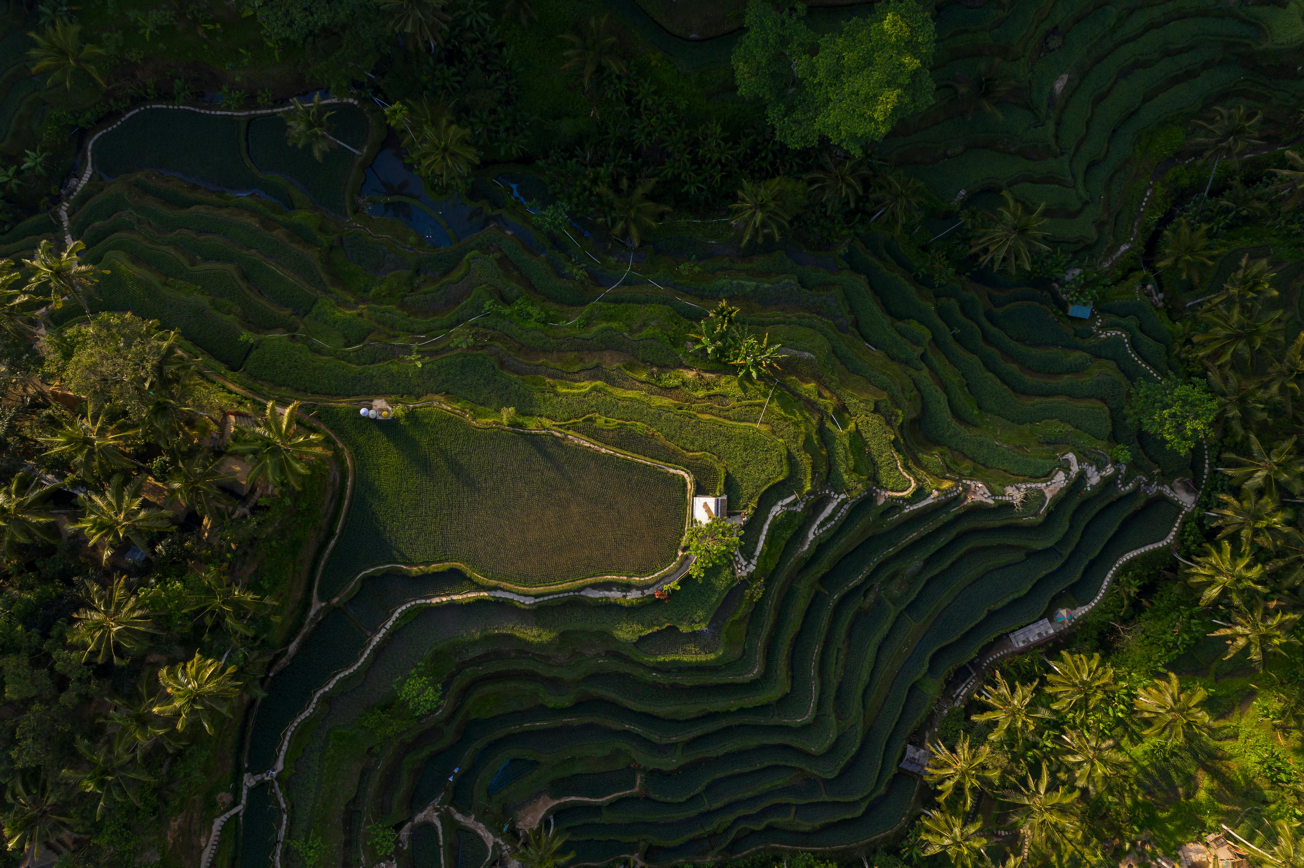 UBUD HERITAGE
